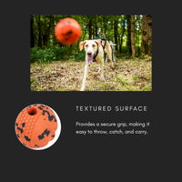 Non-Stop Dogwear Ball Dog Toy